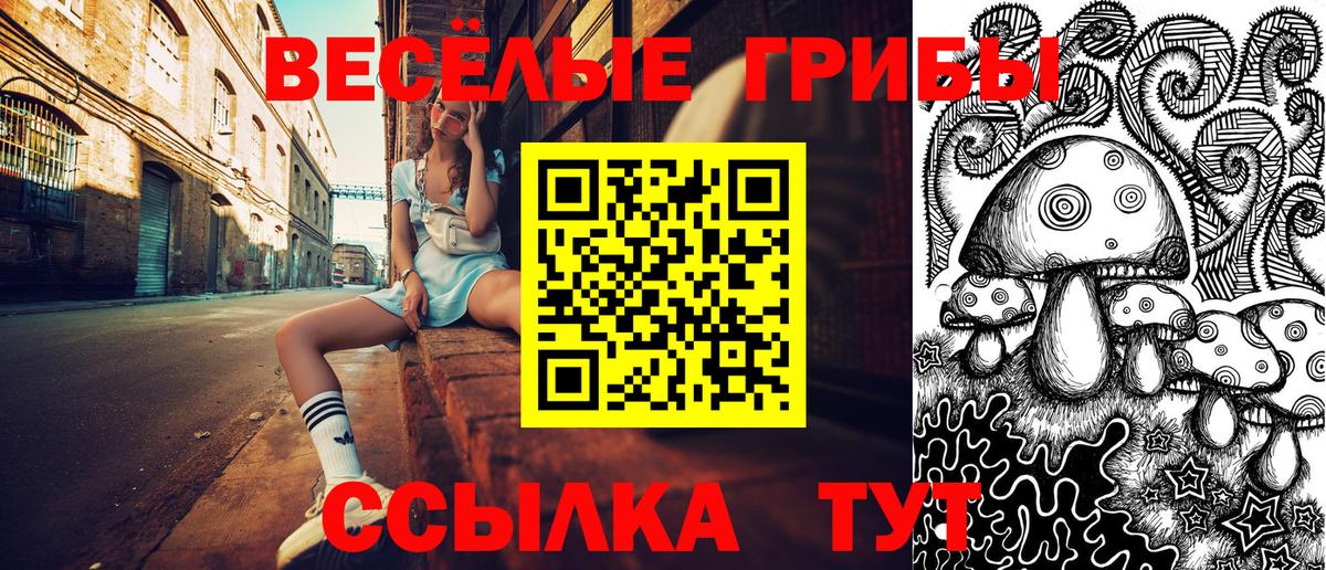 Галлюциногенные грибы ЛСД  как найти   Псилоцибиновые грибы Psilocybine cubensis  Владивосток  Вход с VPN 